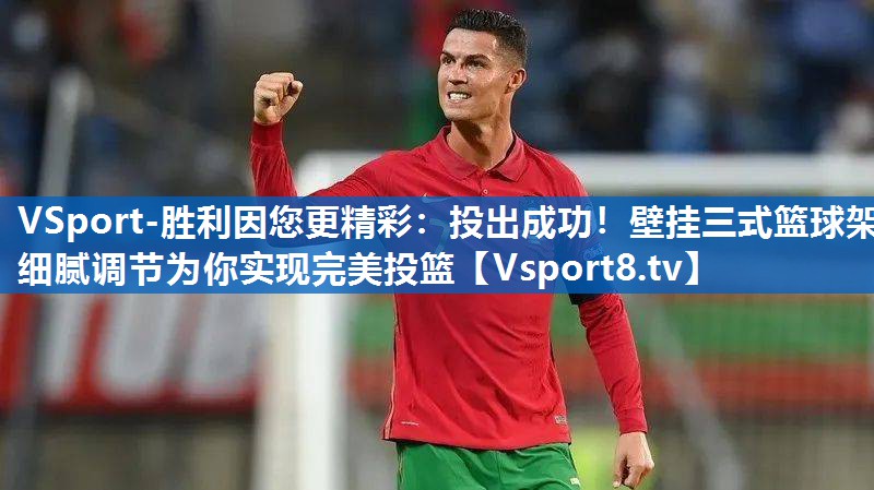 VSport-胜利因您更精彩：投出成功！壁挂三式篮球架细腻调节为你实现完美投篮