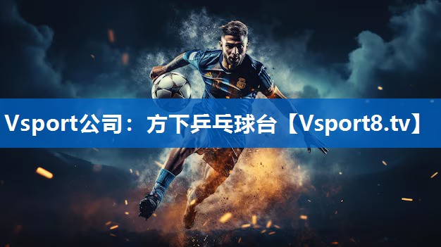 Vsport公司：方下乒乓球台