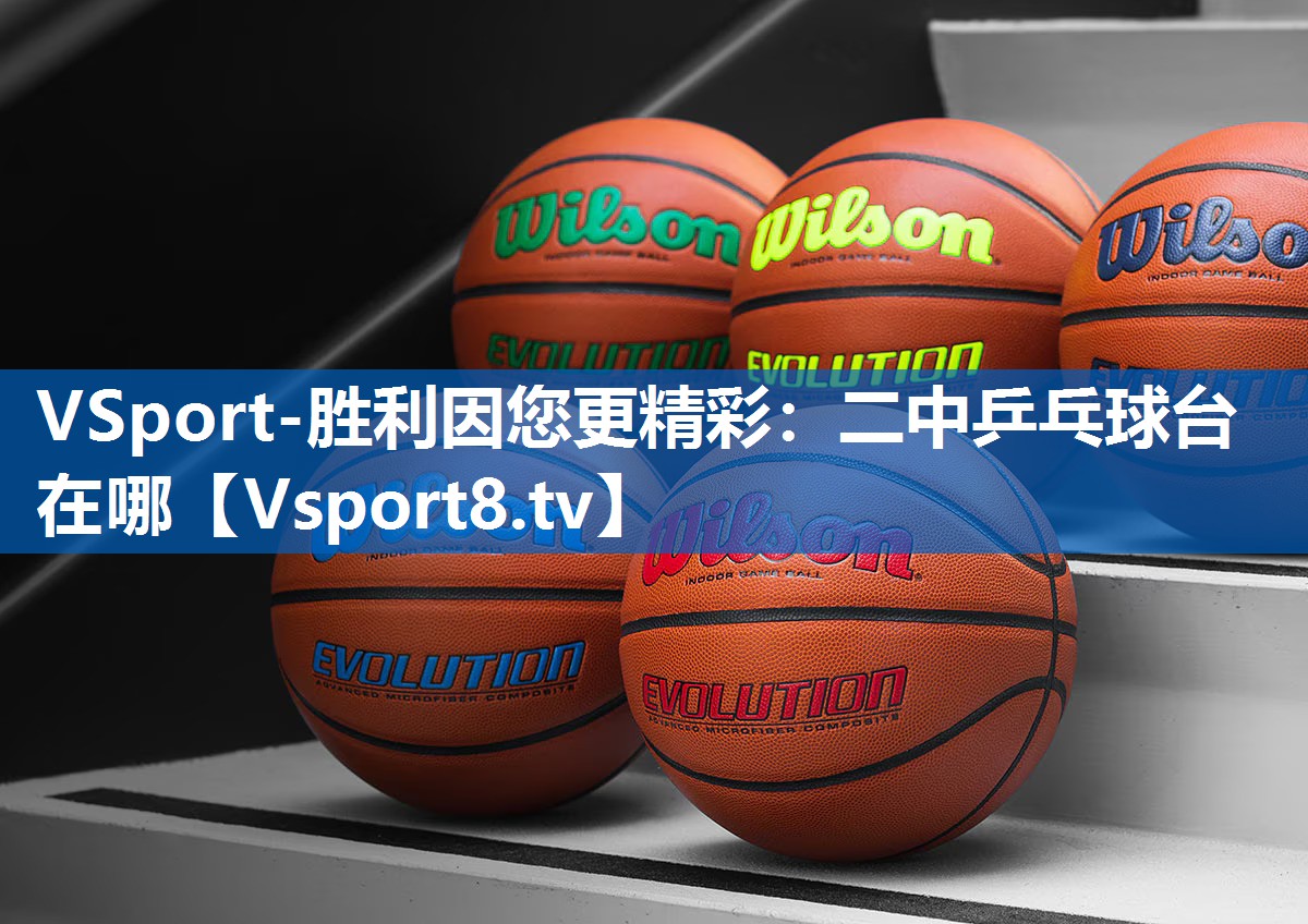 VSport-胜利因您更精彩：二中乒乓球台在哪