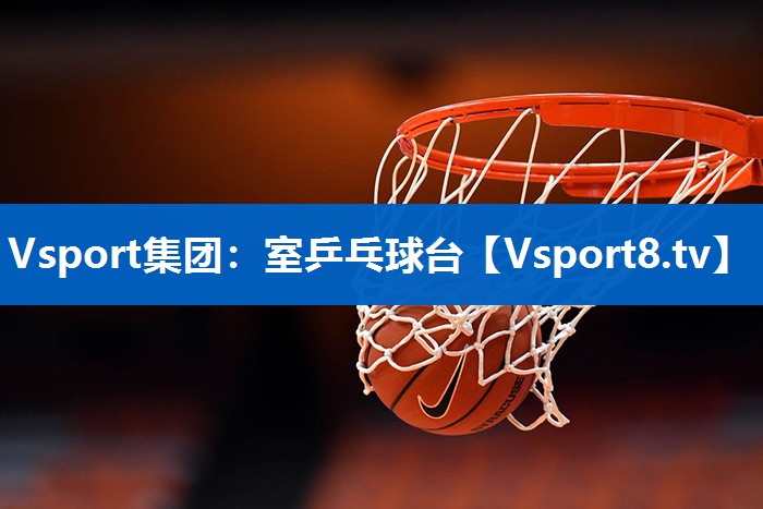 Vsport集团：室乒乓球台