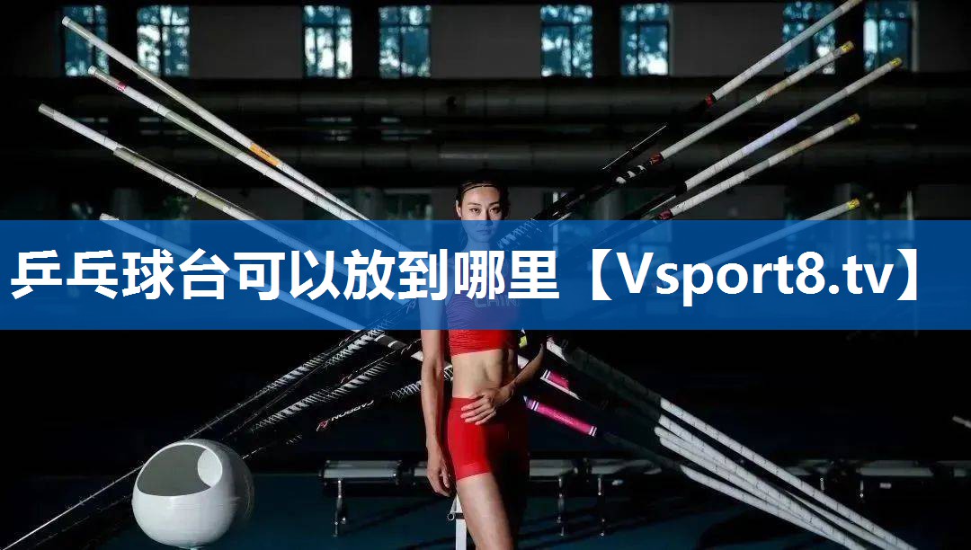 乒乓球台可以放到哪里