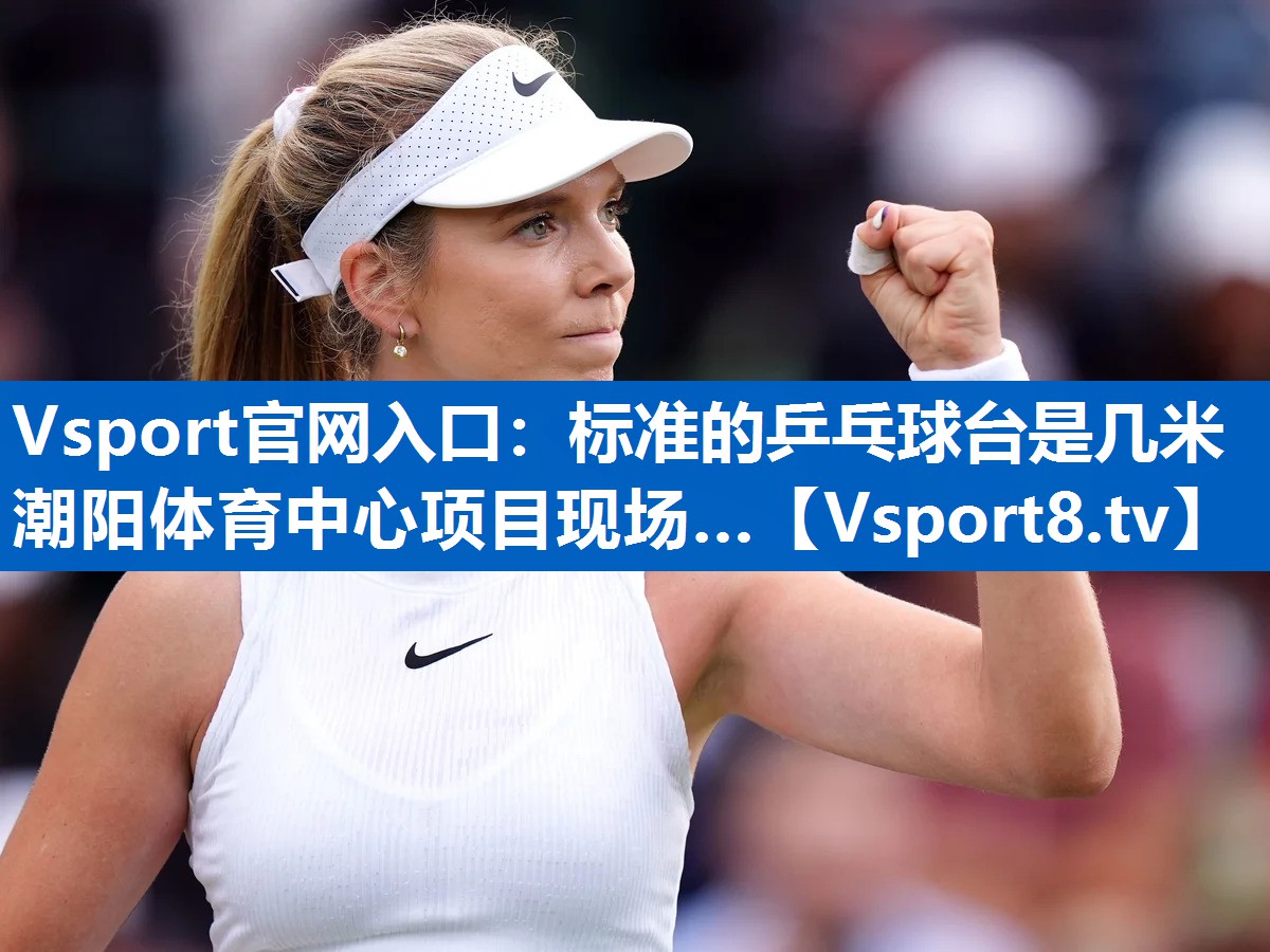 Vsport官网入口：标准的乒乓球台是几米潮阳体育中心项目现场…