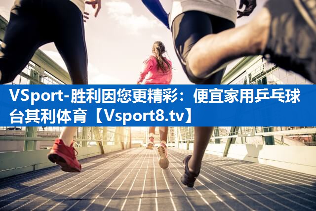VSport-胜利因您更精彩：便宜家用乒乓球台其利体育
