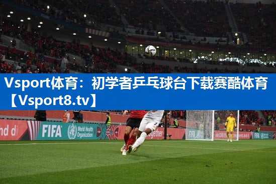Vsport体育：初学者乒乓球台下载赛酷体育
