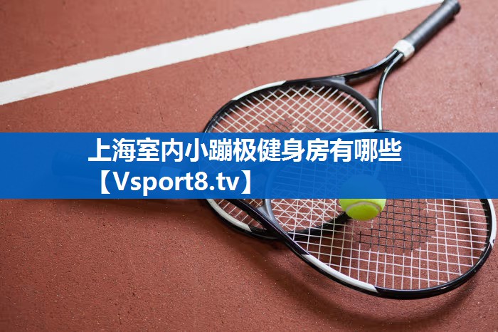 上海室内小蹦极健身房有哪些 上海室内小蹦极健身房有哪些