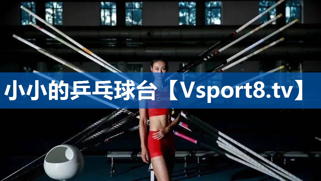 小小的乒乓球台 小小的乒乓球台