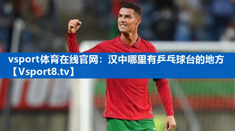 汉中哪里有乒乓球台的地方